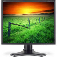 NEC MultiSync 1990SX-BK 19" LCD Computer Display (Black)