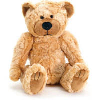 Bolide Technology Group BL2011C  Color Wireless Teddy Bear Hidden Camera
