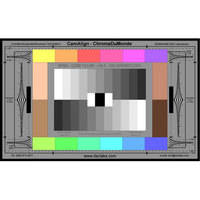 DSC Labs ChromaDuMonde 12+4-R Senior CamAlign Chip Chart with Resolution