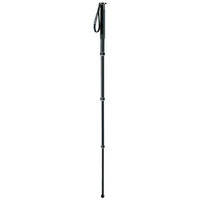 Gitzo GM-2341 Aluminum 4-Section Monopod - Supports 20 lbs (9 kg)
