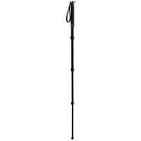 Gitzo GM-2942 Basalt Monopod - Supports 22 lbs (10kg)