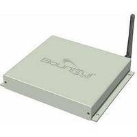 Bountiful WiFi Wireless Access Point