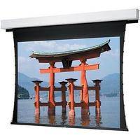 Da-Lite 34032EL Advantage Deluxe Electrol Motorized Projection Screen (12 x 12')