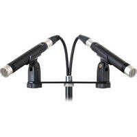 Mojave Audio MA-100SP Small-Diaphragm Tube Condenser Microphone (Stereo Pair)