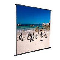 Vutec Porta-Fold Front Surface (5x15', Replacement ONLY)