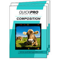 QuickPro Card: Photography Tips Card - Composition