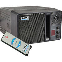 Anchor Audio AN-130 With Wireless Receiver and Remote (Black)