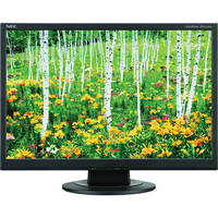 NEC AccuSync AS191WM-BK 19" LCD Widescreen Monitor