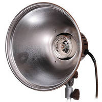 Speedotron M11 Light Unit with 11" Reflector (220VAC)