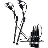 Equinox Big Blue VL-2x30w LED Video Light