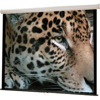 Hamilton Buhl WS-W96 Manual Wall Projection Screen (96 x 96")