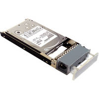 Active Storage 2TB ActiveRAID ES Spare Hard Drive
