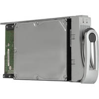 Promise Technology 2TB Promise SATA Drive Module
