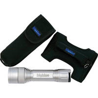 Bigblue CF-250 Focusable LED Dive Light (Silver, Goodman-glove & Pouch)