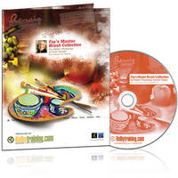 Kelby Training DVD: Fay's Master Brush Collection with Fay Sirkis