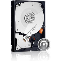 Western Digital 2TB WD2002FAEX Caviar Black SATA Hard Drive (OEM)