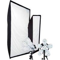Westcott 2-Pack Spiderlite TD6 Show PROMO Kit (110V AC)