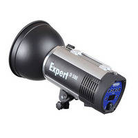 Hensel Expert D 500 Monolight (110 - 240V)