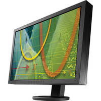 Eizo S2433WFS-BK 24.1" Widescreen LCD Computer Display (Black)