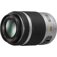 Panasonic Lumix G X Vario PZ 45-175mm f/4.0-5.6 Zoom OIS Lens (Silver)