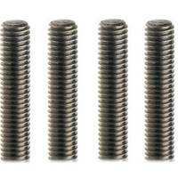 Black Bear 24" Leveling Extension Rod Set (Set of 4)