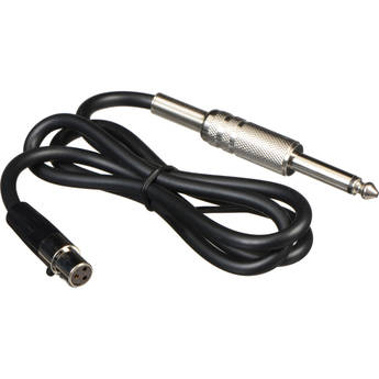 Audix Mini XLR to 1/4" Phone Instrument Cable
