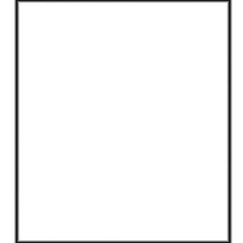 Botero #000 Muslin Background (5x6', White)