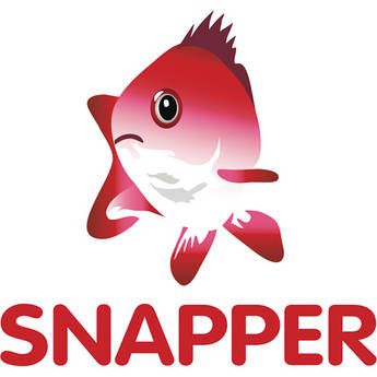 Audio Ease Snapper - Audio Playback and Format Conversion Software Utility