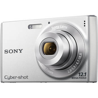 Sony Cyber-shot DSC-W510 Digital Camera (Silver)