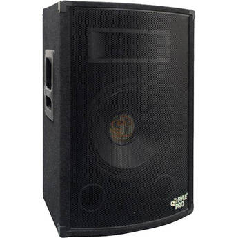 Pyle Pro PADH1279 600W 12" 2-Way PA Cabinet Speaker
