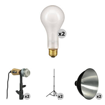 Impact 500W 2-Light Flood Kit With 6' Stands