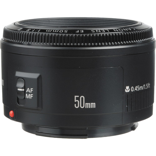 12142 The Nifty Fifty on Sale