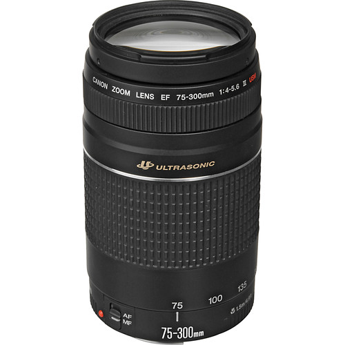 Canon EF 75-300mm f / 4-5.6 III USM Lens