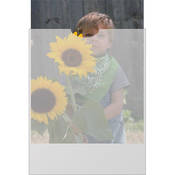 Duracraft Glassine Envelope (8 x 10", 500 Pack)