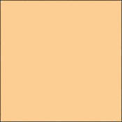 Gam GCJR440  GamColor Colored Cine Filter #440 (Very Light Straw) (24x198" Roll)