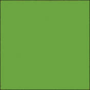 Gam GCJR570  GamColor Colored Cine Filter #570 (Light Green Yellow) (24x198" Roll)