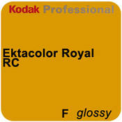 Kodak Ektacolor Royal Generations 4"x255