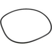 Ikelite O-Ring (Replacement)