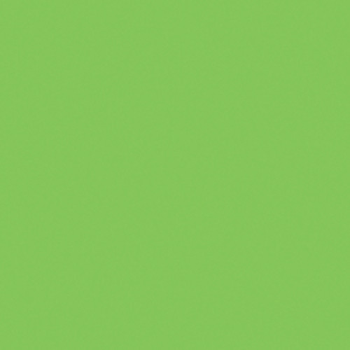 Gam Plus Green Cine Filter (48