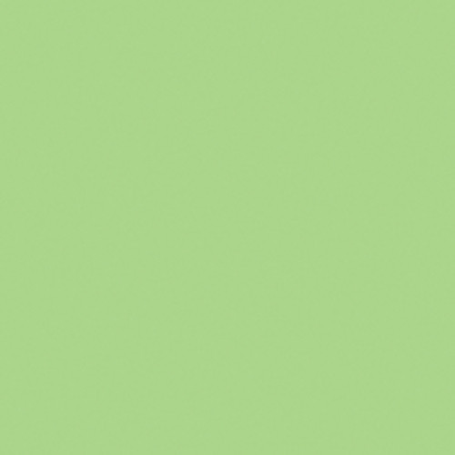Gam 1/2 Plus Green Cine Filter (48