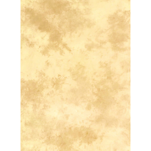 Lastolite 10x24' Muslin Washable Background - Arizona