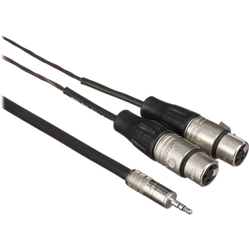 Pro Co Sound Stereo Mini to 2 XLR Female Soundcard Patch Y-Cable - 20'