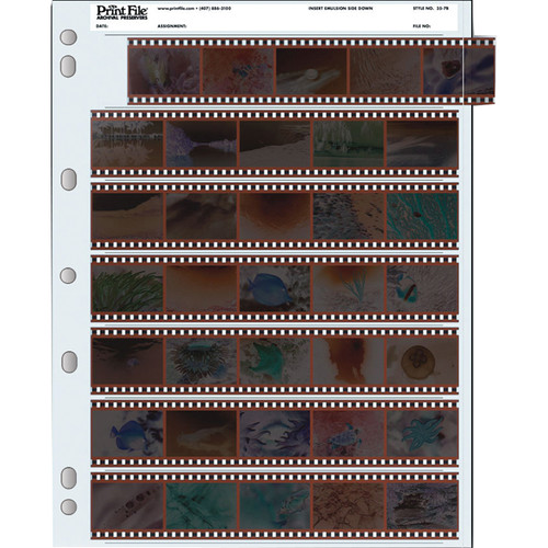 Print File Archival Storage Page for Negatives, 35mm - 100 Pack