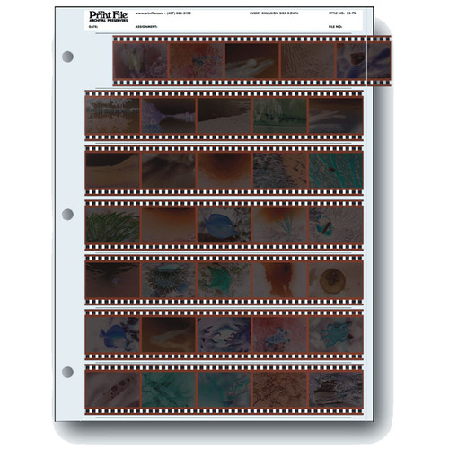 Print File 35mm Archival Storage Pages for Negatives, (25 Pack)