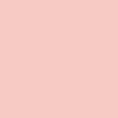 Rosco #05 Filter - Rose Tint - 20x24