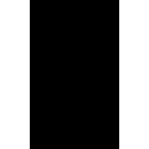 Backdrop Alley BAPH24BLK Premium Heavyweight Solid Muslin (10 x 24', Black)