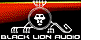 Black Lion Audio