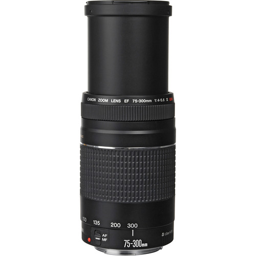 Canon EF 75-300mm f / 4-5.6 III USM Lens