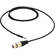 Pro Co Sound ShowSavers Tiny Tip Male to XLR Female Cable -  2'