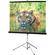 Draper 216001 Consul Portable Tripod Screen  (40 x 40")